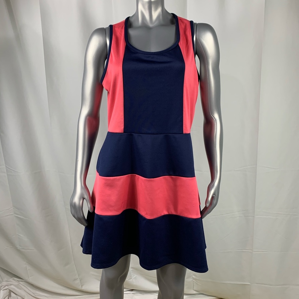 Urban Rose Fit and Flare Dress Size 2X Blue Pink